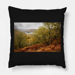 Autumn around Rydal Water Pillow