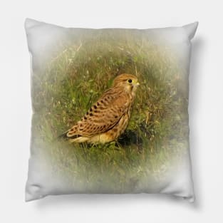 Kestrel Pillow