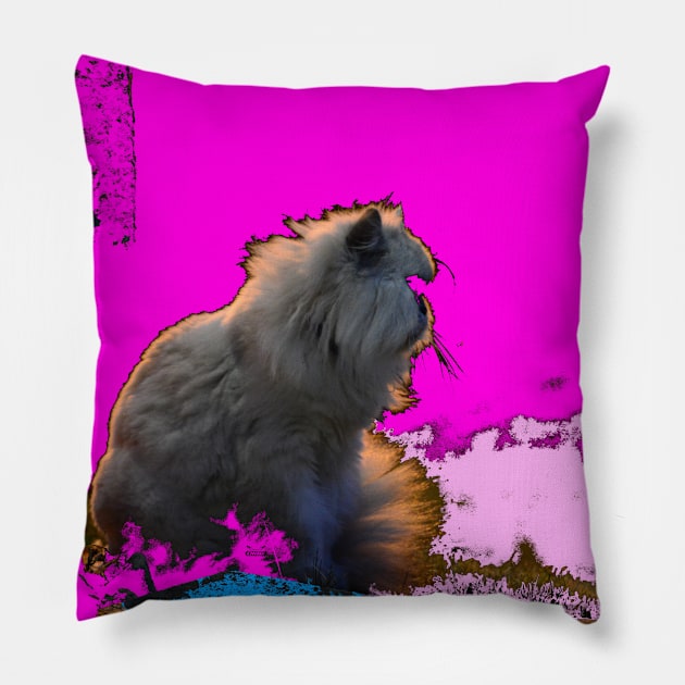 Cat 13 / Swiss Artwork Photography Pillow by RaphaelWolf