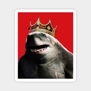 The Notorious King Shark Magnet