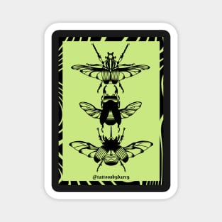 Beetle Poster Magnet