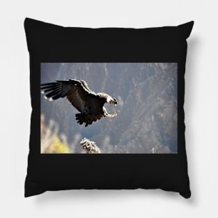 Pérou - canyon de colca, Condor Pillow