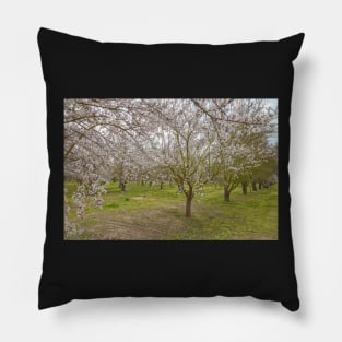 Almond Blossoms Pillow