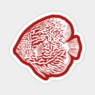 Pompadour Fish or Discus Fish - aquarium lovers detailed drawing Magnet