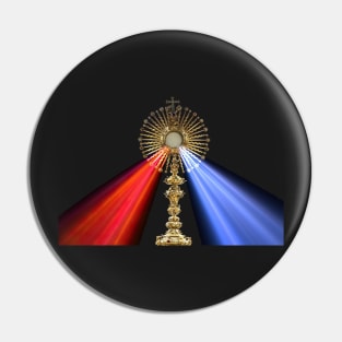 Jesus Divine Mercy Eucharist Holy Host Mass Sacred Heart of Jesus Catholic Prayer 2010 Pin