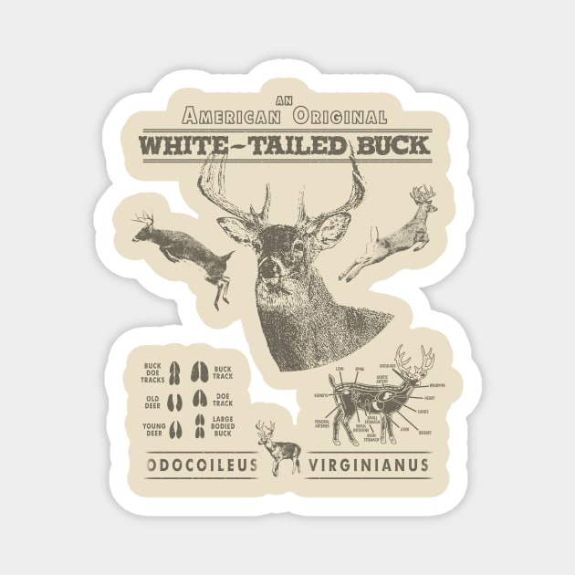 An American Original White-Tailed Buck Deer Hunting Magnet by bigraydesigns