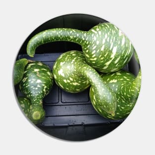 Speckled Swan Gourd Pin