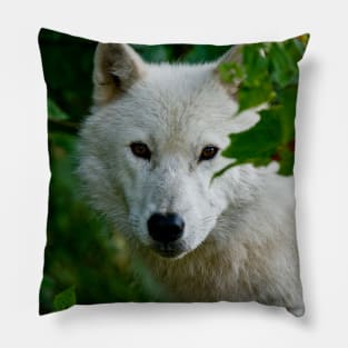 Arctic Wolf Pillow