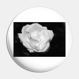 Heart Petal White Rose Pin