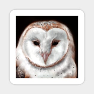 Barn Owl Magnet