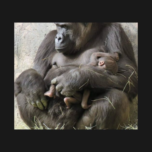 Western Lowland Gorilla and baby by Sharonzoolady