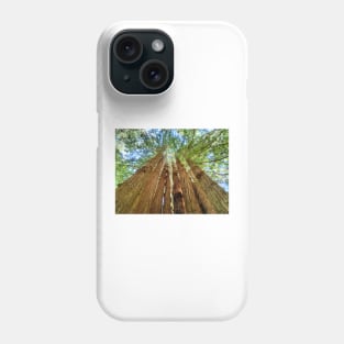 Redwood Grove Phone Case