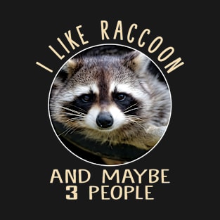 Enigmatic Elegance Raccoon Merchandise T-Shirt