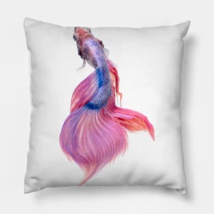 Beautiful Fighting Fish Pillow