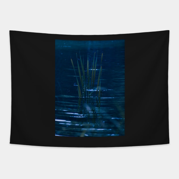 Water reflections Tapestry by bunlinked