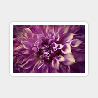 Dahlia Delight Magnet