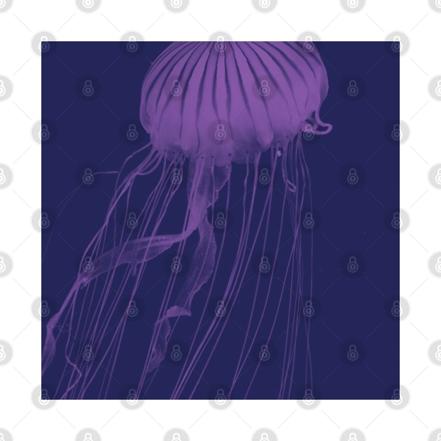 Purple Glowing Jelly Fish by AJDesignsstuff