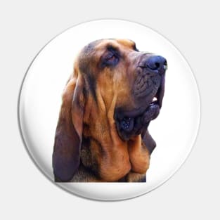 Hunting dog - Bloodhound Pin