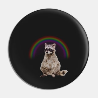 Rainbow Raccon Pin