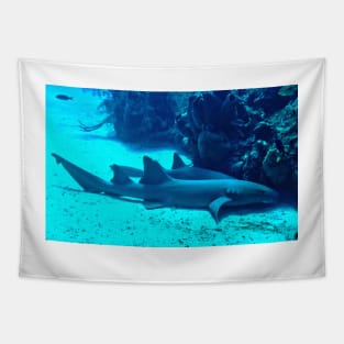 Nurse Sharks Tapestry