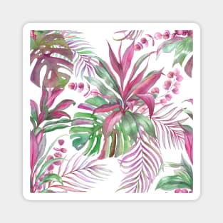 Tropical colorful watercolor leaves composition. Exotic Monstera, cordyline, eucalyptus leaves summer print Magnet