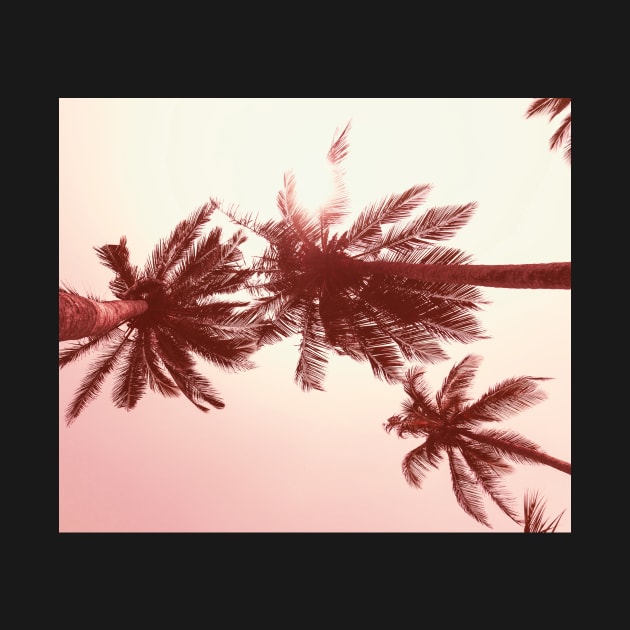 Palmtree pink by ColorsHappiness