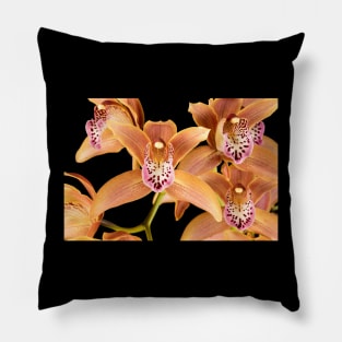 Orchids Cymbidium Tiger Hunt India Gold Orange Pink Pillow