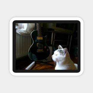 The Cat and the Guitar Magnet