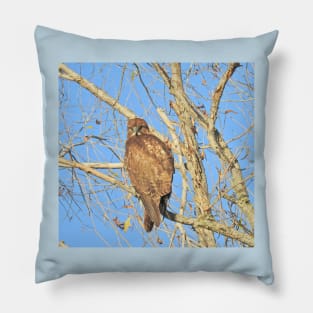 Red-tailed hawk, birds, wildlife, gifts Pillow