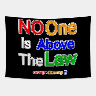No One Is Above The Law Except tRump!? - Back Tapestry