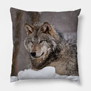 Timberwolf in Winter Pillow