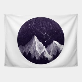 Orion Tapestry
