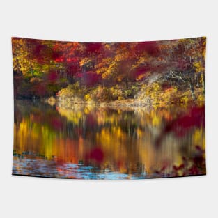 Autumn Colors Tapestry