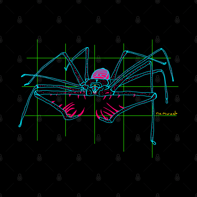 Tailless whip scorpion by Namwuob