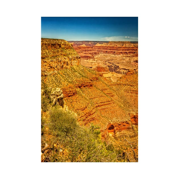 Rim Trail Viewpoint Grand Canyon by Gestalt Imagery