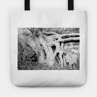 Trees ~ Roots a new beginning Tote