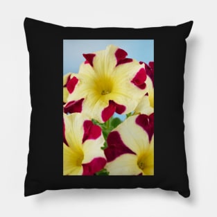 Petunia Amore Queen of Hearts Amore series Pillow