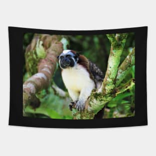 White Chested Monkey Perching in Tree Tapestry