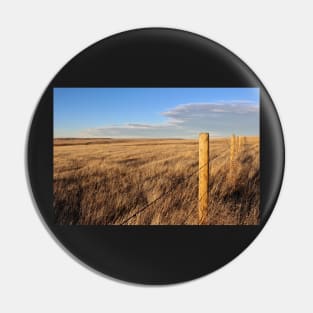 Montana Fence Line Pin