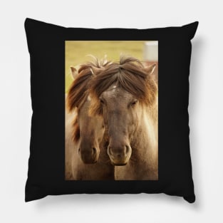 Sister horses Pillow