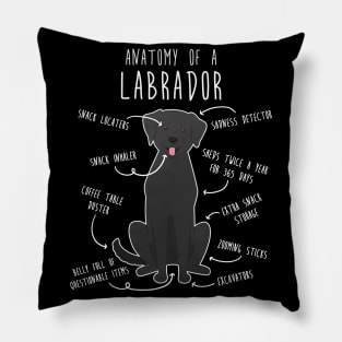 Black Labrador Retriever Dog Anatomy Pillow