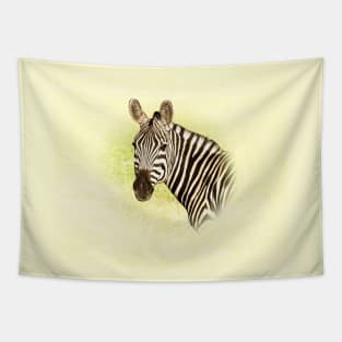 Zebra Tapestry