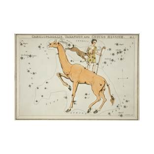 Camelopardalis Constellation T-Shirt