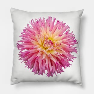 Hot Pink Dahlia Flower Pillow