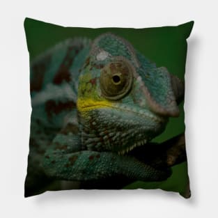 Chameleon Pillow