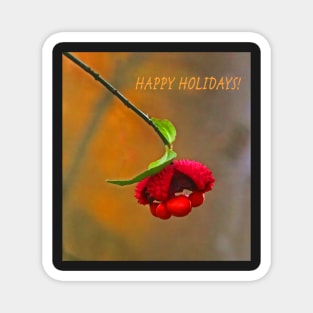 2014-Happy Holidays Magnet