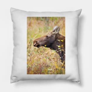 Moose profile, Algonquin Park, Canada Pillow