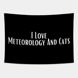 I Love Meteorology And Cats Tapestry