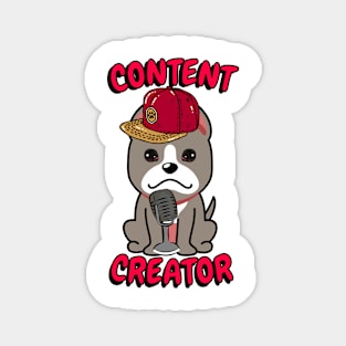 Cute grey dog is a content creator Magnet