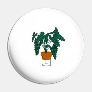 Potted Philodendron illustration Pin